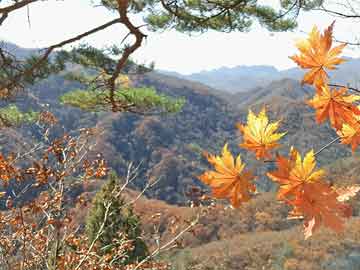 昭通魯?shù)檐嚨溩钚孪ⅲ匀恢脦硇撵`重生與平靜