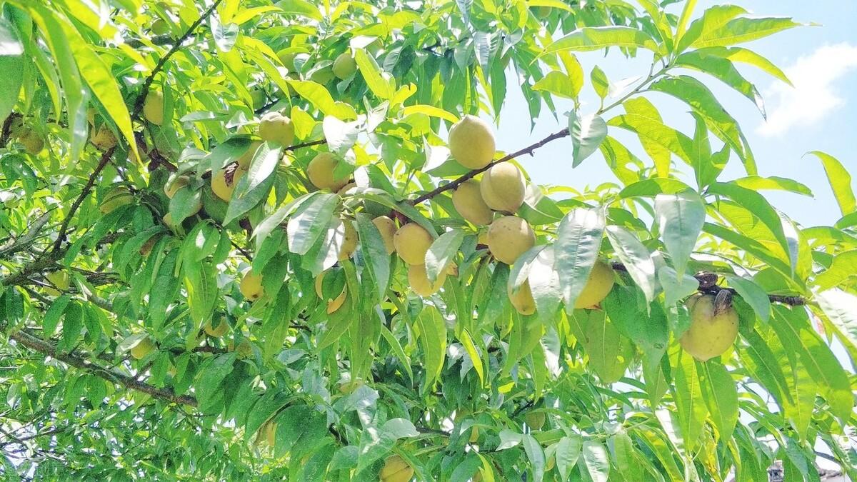 簡暗最新小說揭秘科技新品，智能生活體驗(yàn)新紀(jì)元