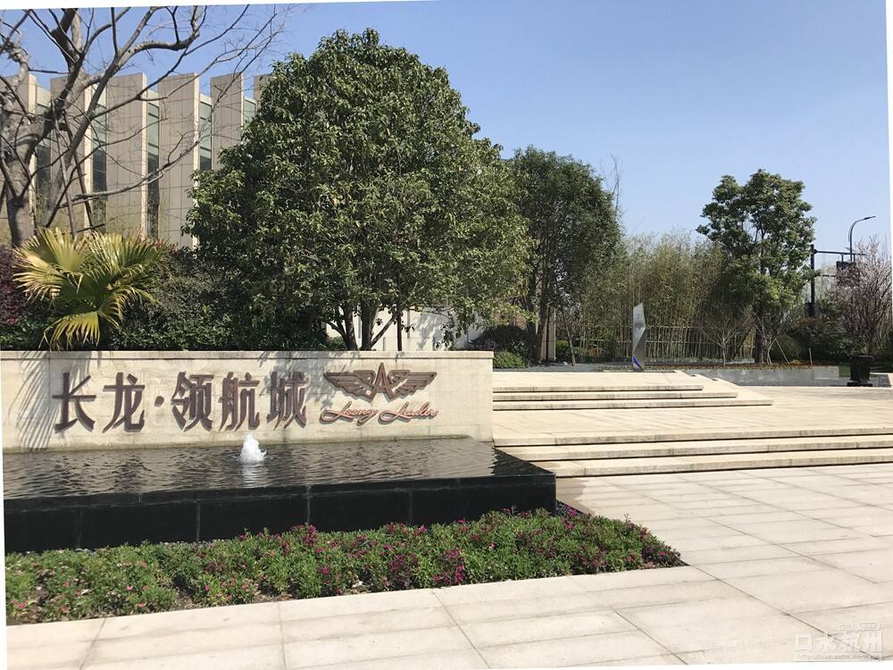 長龍領(lǐng)航最新動態(tài)，駕馭變革，開啟知識海洋的勵志之旅