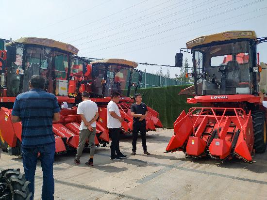 邳州玉米最新價格，時代見證下的市場動態(tài)