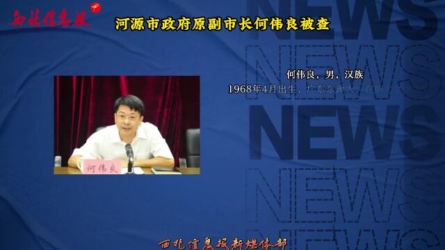 何偉良最新任免揭曉，日常故事中的溫馨轉折
