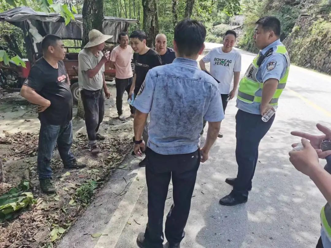 慶元最新事件，引領(lǐng)科技潮流的高科技產(chǎn)品揭秘