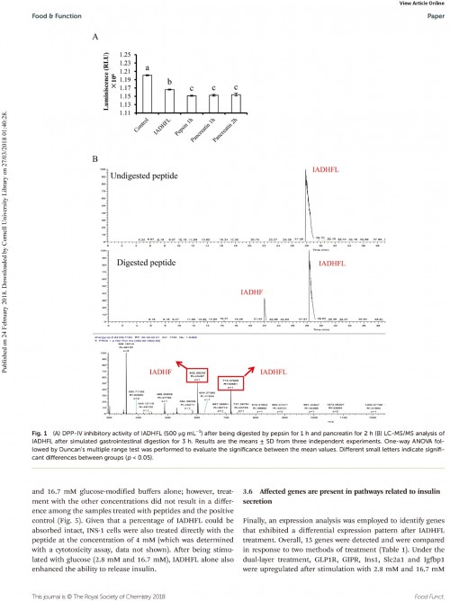 糖肽最新文獻(xiàn)，自然之旅的心靈探尋之旅，尋找內(nèi)心的寧?kù)o