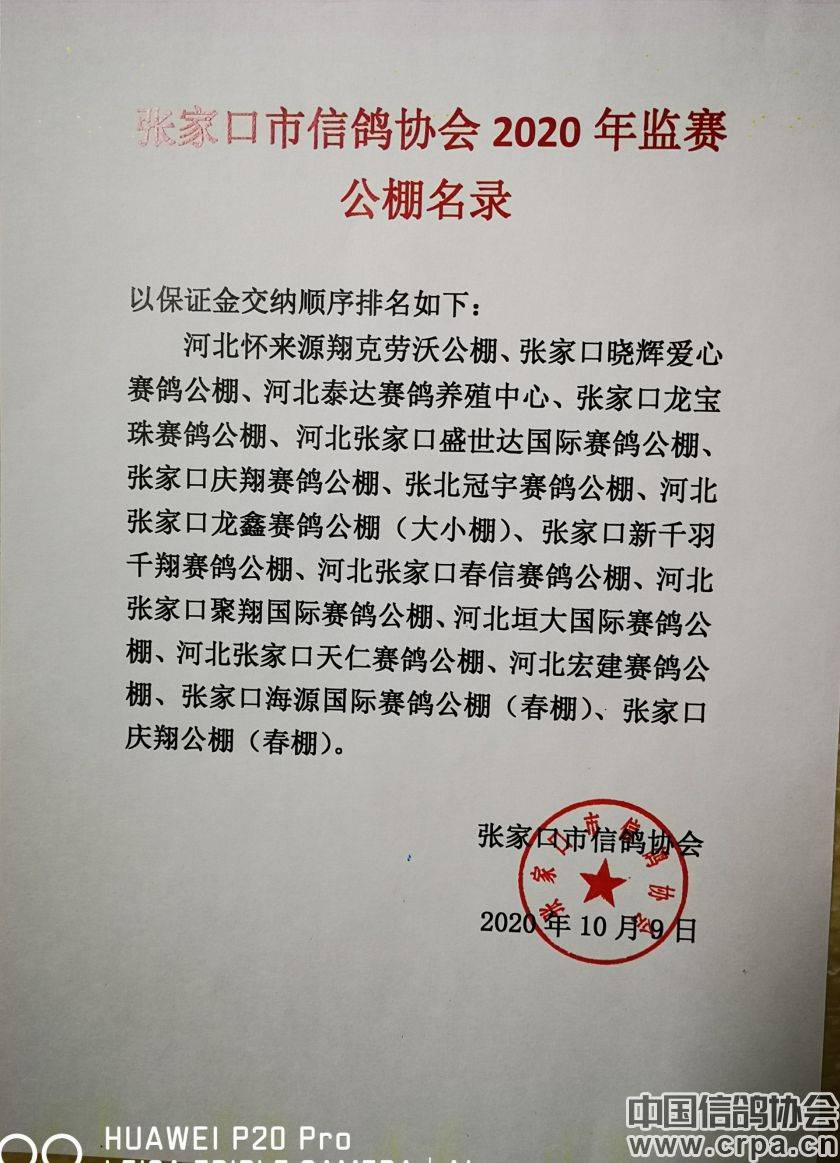 東光信鴿協(xié)會最新通告，小巷深處的獨特風(fēng)味揭秘與信鴿活動更新通知