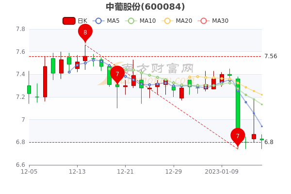 中葡股份股票行情深度分析與展望，未來走勢(shì)展望及行業(yè)前景預(yù)測(cè)。