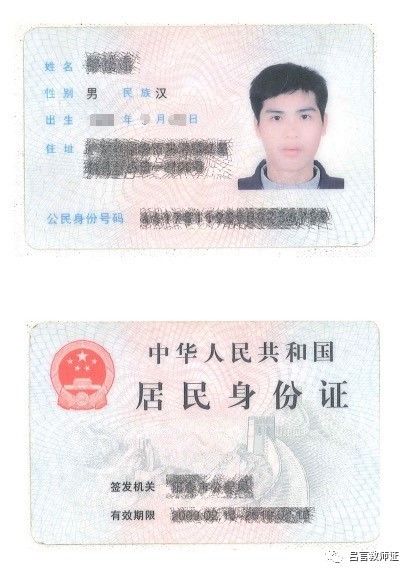 最新證照，友情與陪伴的溫馨故事之旅