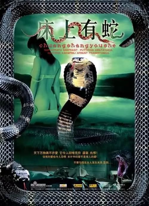 最新蛇片，蛻變的旅程，召喚自信與成就感的冒險之旅
