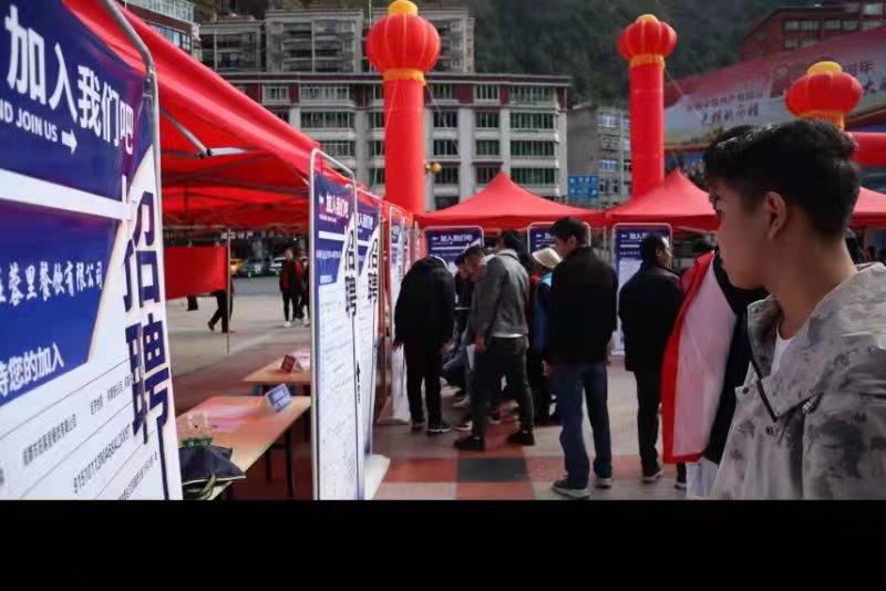青白江招聘信息探索，小巷中的職業(yè)機遇
