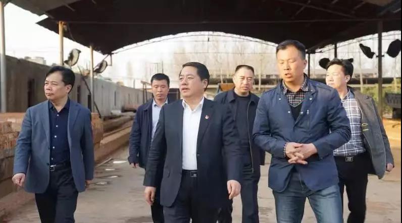 商丘王仲田最新動(dòng)態(tài)，探索自然美景的旅行，尋求內(nèi)心平和之旅