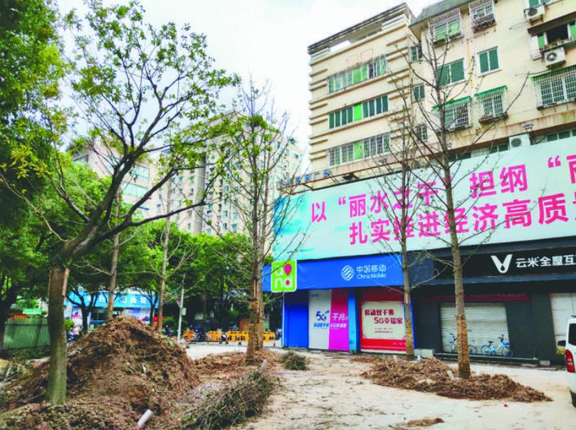 最新吊車網(wǎng)，自然美景之旅與內(nèi)心平靜的探尋