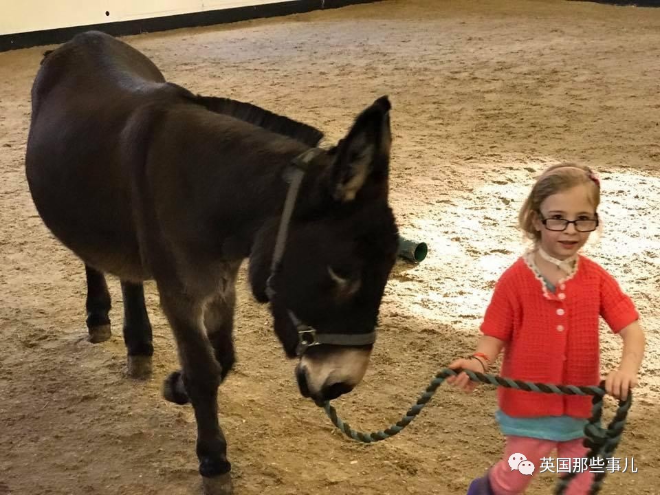 二驢子最新事件揭秘，事件全貌大揭秘！