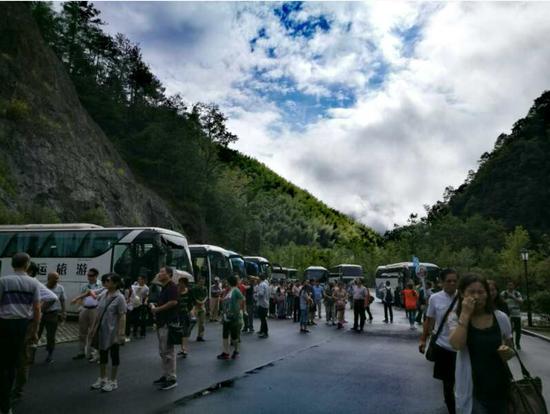 泰順高鐵最新動態(tài)更新，最新消息一覽