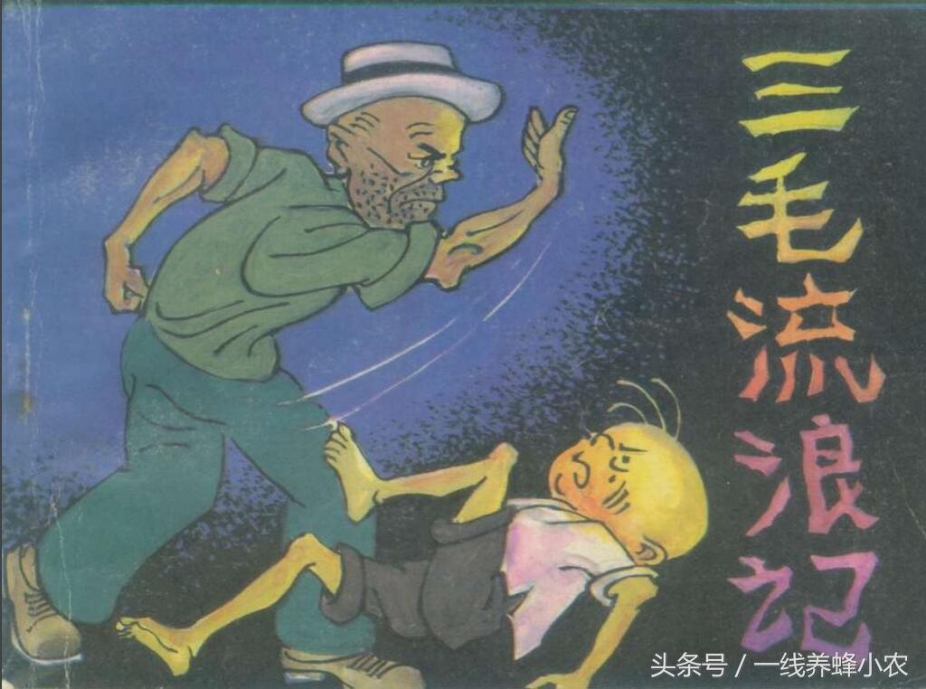 上海三毛最新動態(tài)，自然美景探索之旅啟幕