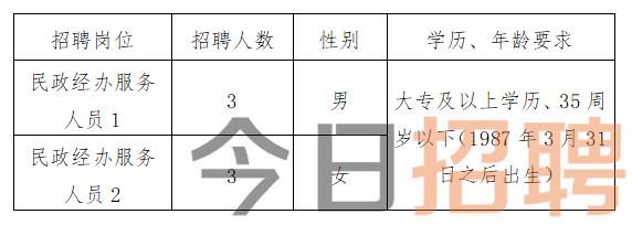 慶陽最新招聘揭秘，小巷中的特色小店，探索未知寶藏的職場之旅