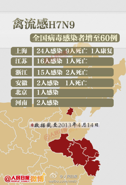 山東禽流感最新動態(tài)，友情與陪伴的溫馨故事