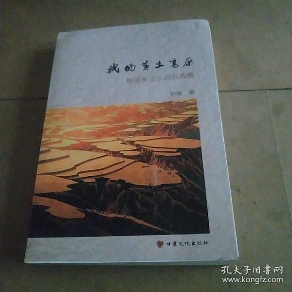 時(shí)代背景下的鄉(xiāng)土情懷與文學(xué)地位，最新鄉(xiāng)土小說(shuō)探析