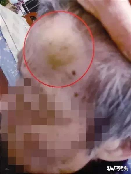 揪脖子最新視頻，探秘小巷風情小店，獨家揭秘！