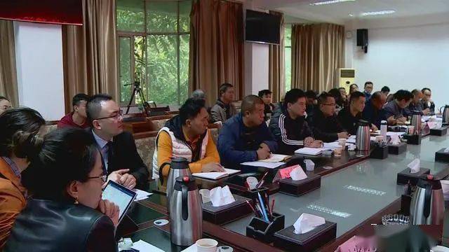德昌最新新聞，擁抱自然，心靈寧靜之旅啟程