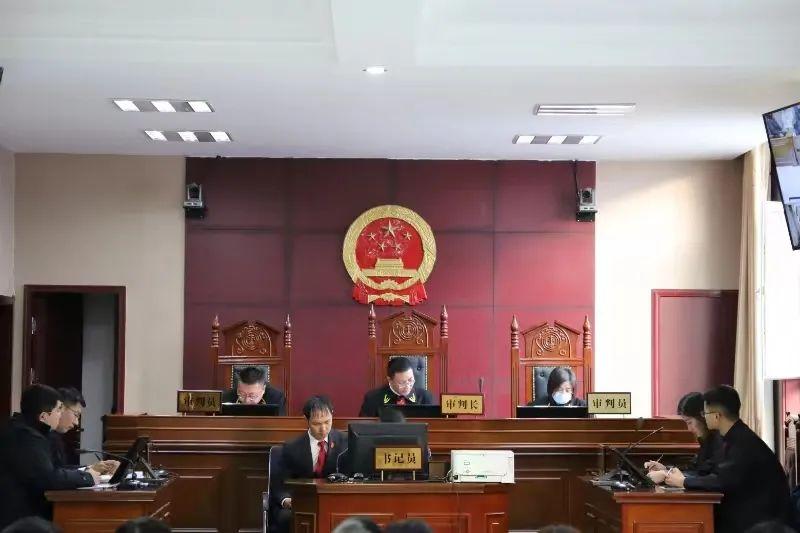 偏關(guān)最新案件深度解析，揭示真相，關(guān)注社會(huì)公正與公平