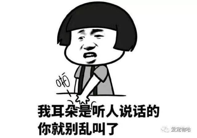 最新枕邊笑話，科技小寶貝，生活添樂趣