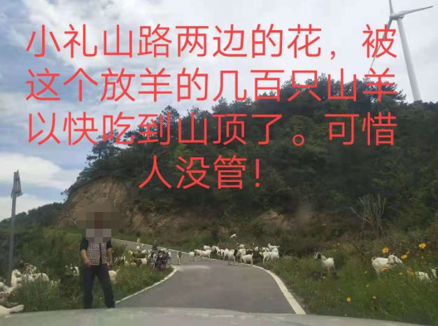 大悟最新路，探索未知，自信成就夢想之旅的啟程