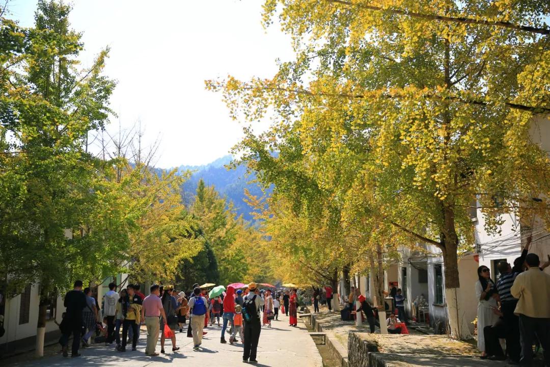 南雄最新現(xiàn)狀，科技前沿產(chǎn)品引領(lǐng)未來(lái)生活發(fā)展