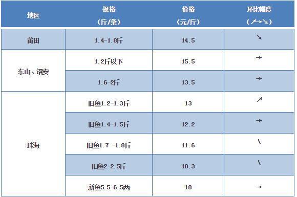 探索海鮮市場秘密，最新鱸魚價格一覽