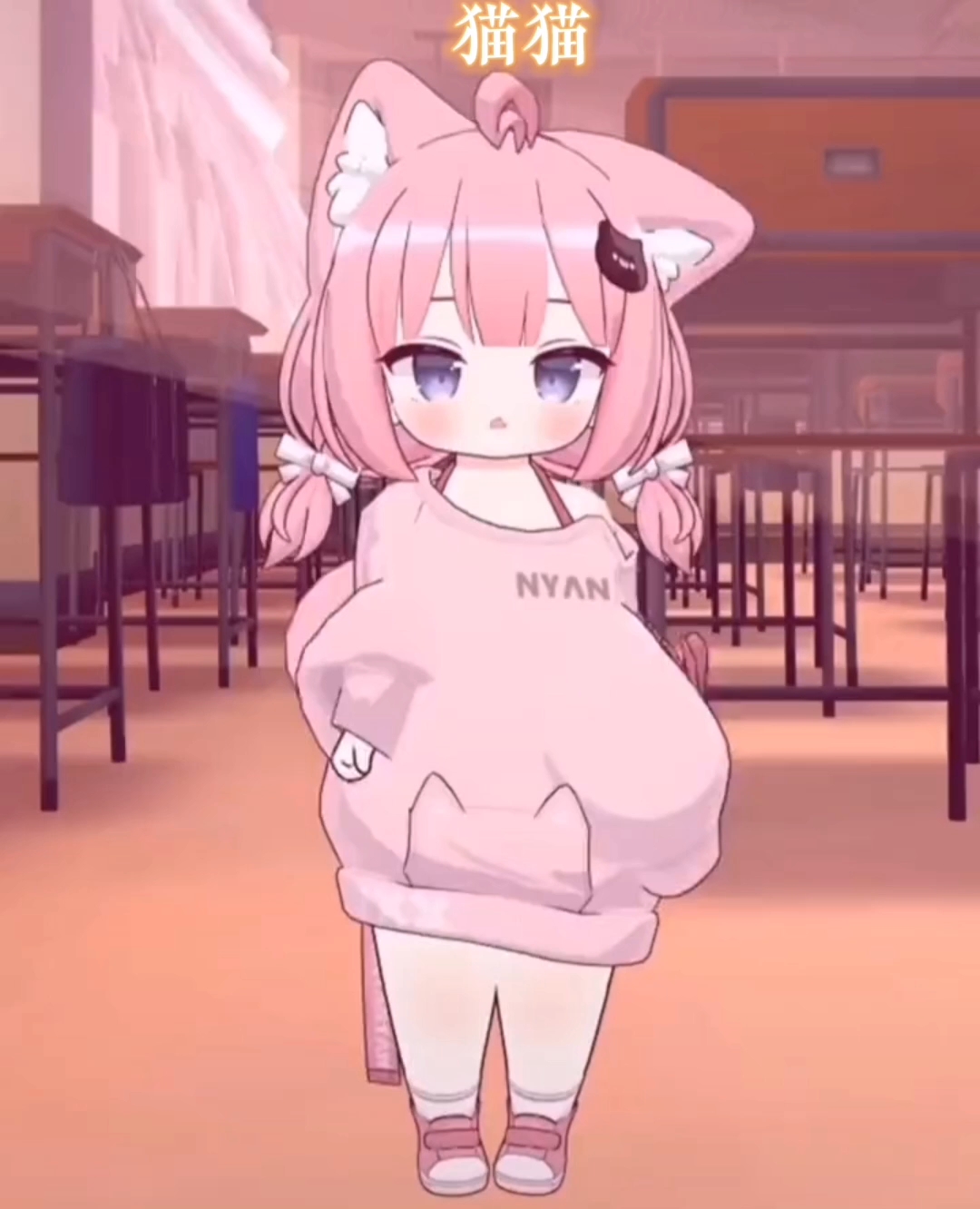 貓妹妹最新動(dòng)態(tài)，萌態(tài)盡顯，溫暖你的心??