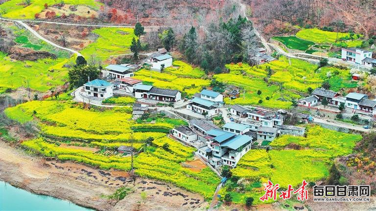揭秘文縣，歷史背景、重大事件與時代地位全景展示