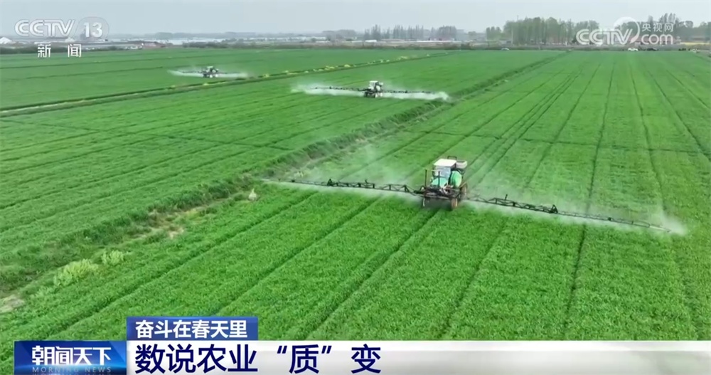 最新農(nóng)業(yè)農(nóng)村發(fā)展，播種希望，收獲自信與成就感