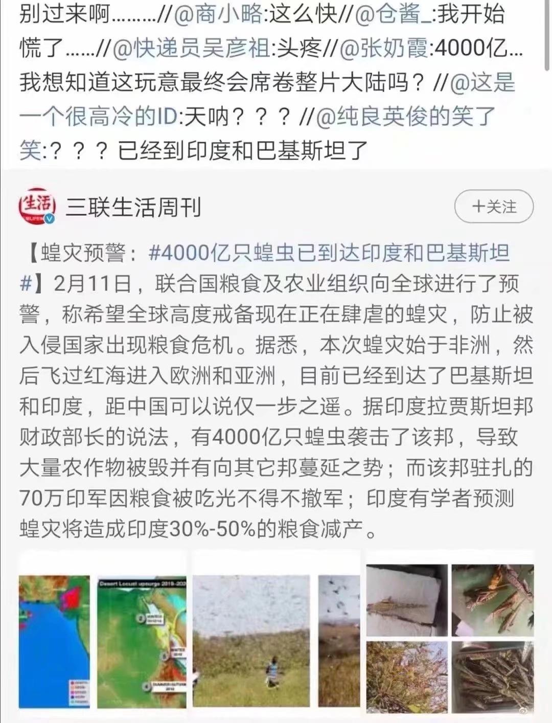 蝗蟲最新動(dòng)態(tài)，防治與監(jiān)測(cè)的全面指南