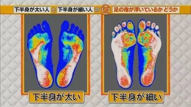 最新地趾論述，探索、爭議與觀點(diǎn)綜述