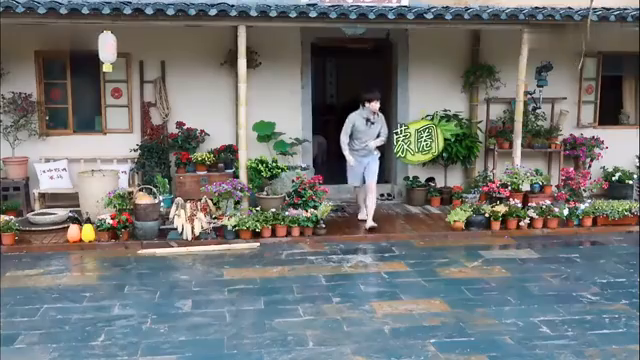 最新蘑菇屋，自然與生活完美融合的夢幻之地