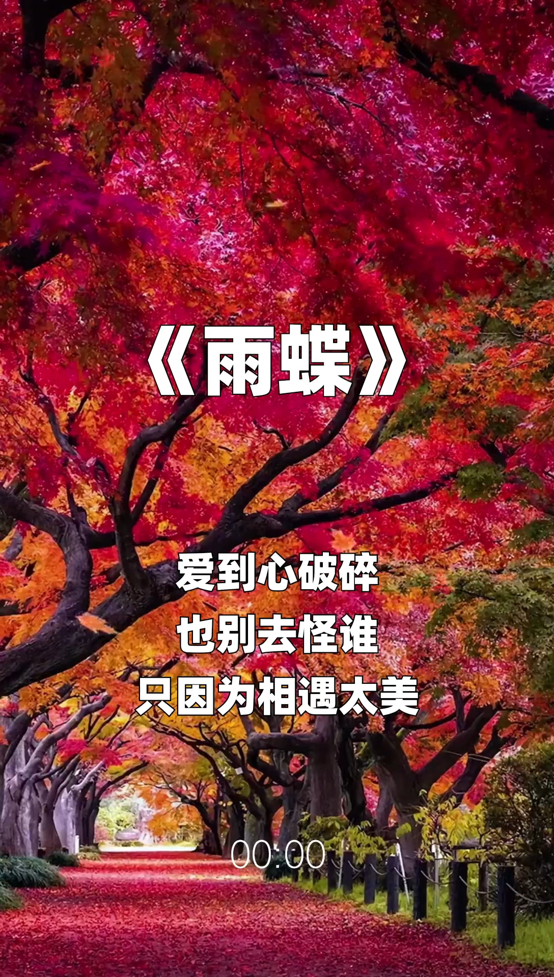 雨蝶最新步驟指南，如何完成任務(wù)或?qū)W習(xí)技能？