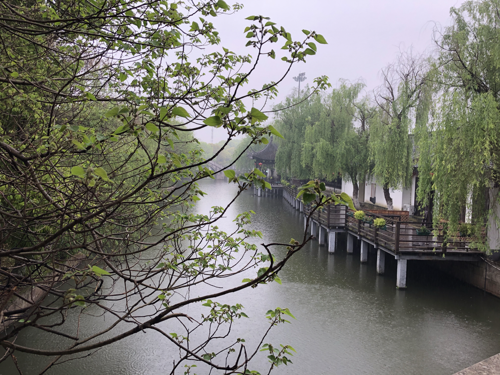 江南煙雨最新，自信與成就感的成長之旅