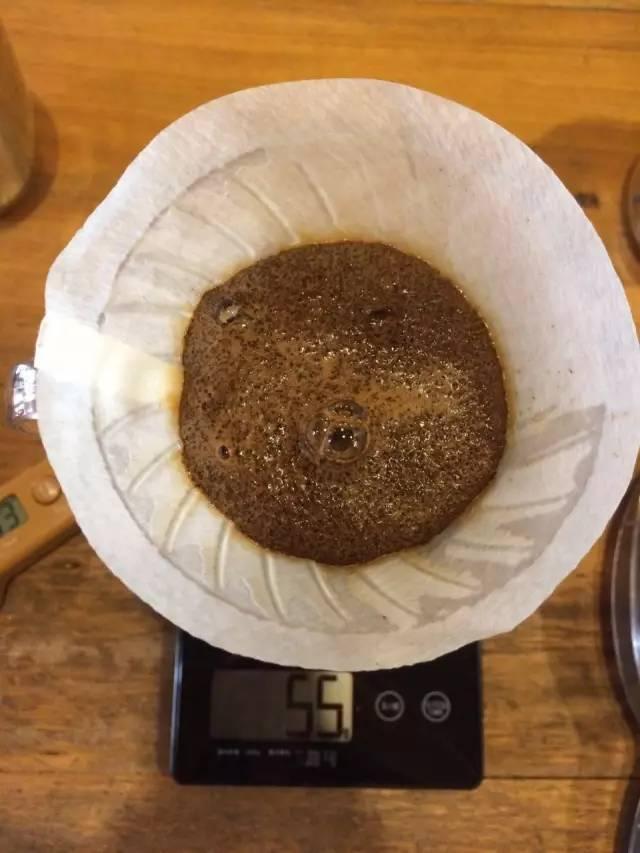 最新萃取法詳解，步驟指南與操作技巧