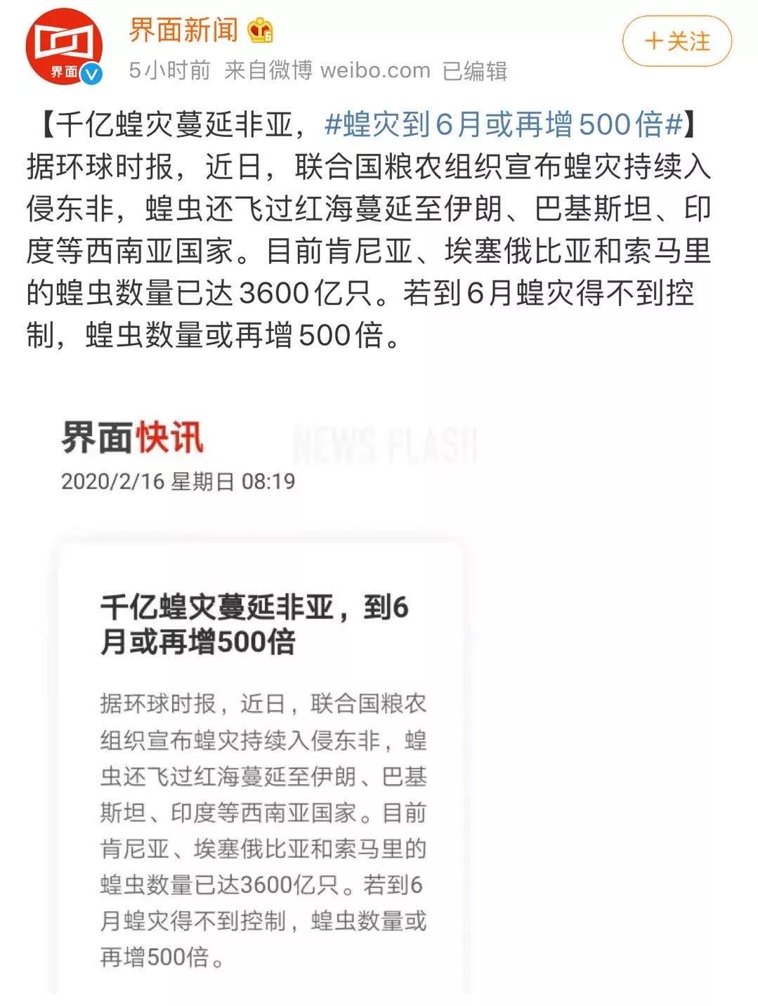 世界蝗災最新動態(tài)，探索自然美景的輕松之旅