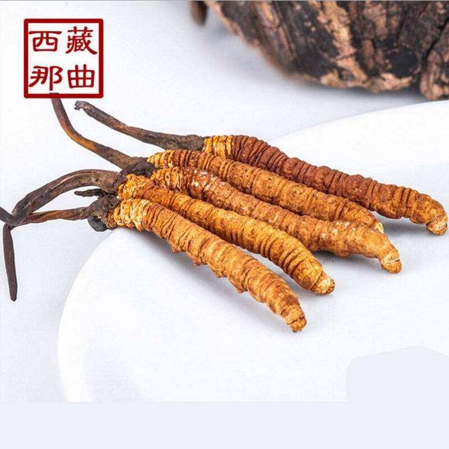 揭秘2025年蟲草最新價格，探尋小巷中的秘密行情！