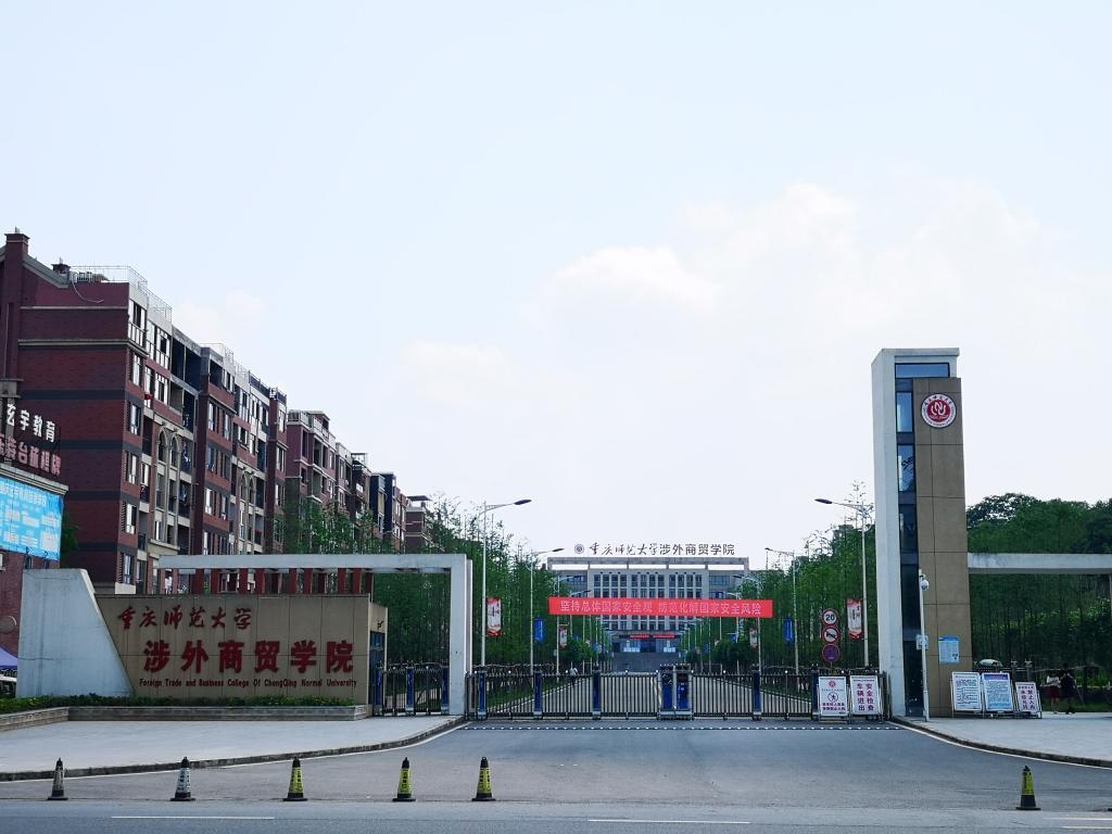 最新本科專業(yè)探秘，小巷中的隱藏寶藏之門