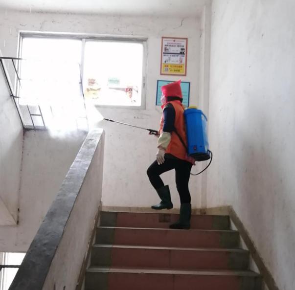 蓬江區(qū)最新高科技住宅，重塑未來生活體驗的首選之地